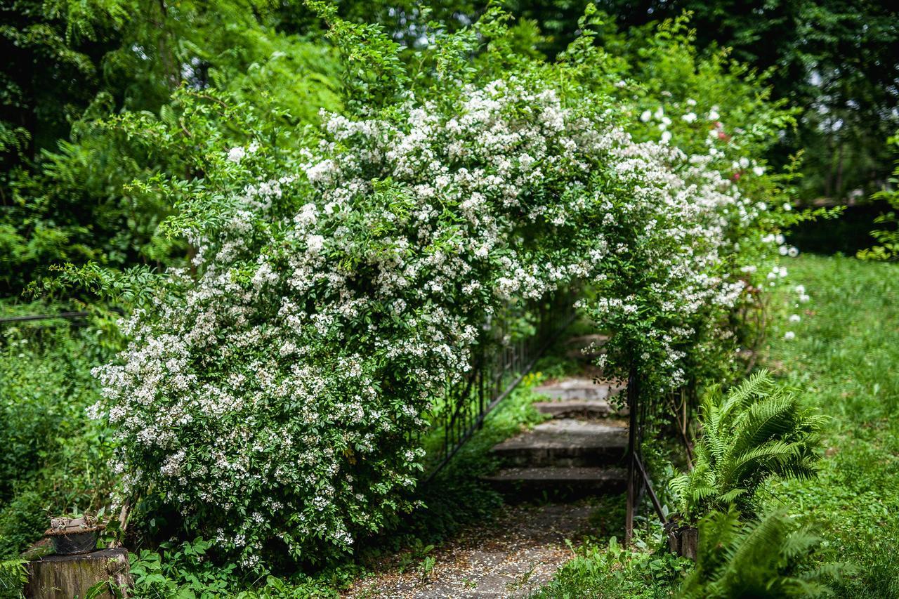 Dwor W Odonowie Exteriér fotografie